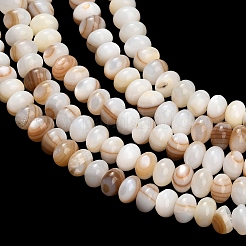 Naturali di acqua dolce perline shell fili&nbsp;SHEL-C010-04B-01