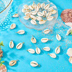 60 шт. подвески из натуральной ракушки каури 2 цветов&nbsp;PALLOY-TA00305