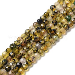 Chapelets de perles d'agate naturelle, ronde à facettes, teints et chauffée, olive, 3.7~4x3.9~4.3mm, Trou: 0.8mm, Environ 89~93 pcs/chapelet, 13.98'' (35.5 cm)