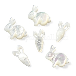 6 pièces 2 styles de perles de coquillage blanc naturel, la carotte et le lapin, couleur de coquillage, 11~11.5x6~12x2~3mm, Trou: 0.7~0.9mm, 3 pièces / style