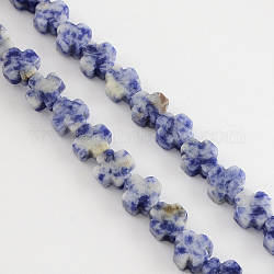 Perles de jaspe tache bleue naturelle, croix grecque, bleu royal, 8x8x4mm, Trou: 1mm, Environ 50 pcs/chapelet, 16.9 pouce