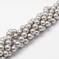 Chapelets de perles de coquille, Grade a, ronde, grises , 8mm, Trou: 1mm, Environ 47 pcs/chapelet, 15.5 pouce