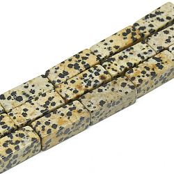 Fili di perline jasper naturali di pelle di leopardo, cuboide, 20~21x8~8.5x8~8.5mm, Foro: 1 mm, circa 19pcs/filo, 15.5 pollice