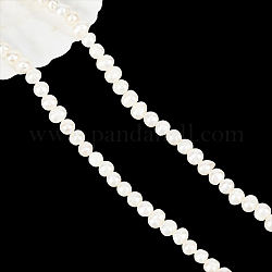 NBEADS About 60 Pcs Grade A Natural Cultured Freshwater Pearl Beads, 5mm Potato Shape Freshwater Pearl White Loose Freshwater Pearl Charms Beads for Craft Earring Bracelet Jewelry Making