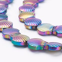 Chapelets de perles en hématite synthétique sans magnétiques, coquille, multi-couleur plaquée, 10x10.5x4mm, Trou: 1mm, Environ 40 pcs/chapelet, 15.7 pouce (40 cm)