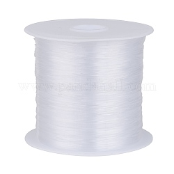 1 Roll Clear Nylon Wire, Fishing Line, Beading Thread, 0.4mm, about 43.74 yards(40m)/roll
