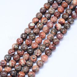 Chapelets de perles de jaspe en peau de léopard naturel, ronde, 6.5mm, Trou: 1mm, Environ 61 pcs/chapelet, 15.5 pouce (39.5 cm)
