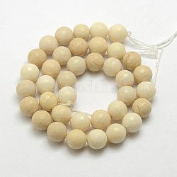 Pierres précieuses naturelles perles rondes de bois pétrifié brins, teinte, facette, 8mm, Trou: 1mm, Environ 48 pcs/chapelet, 15.5 pouce