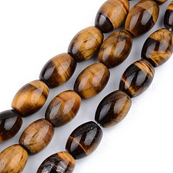 Chapelets de perles d'œil de tigre naturel, ovale, 13~14x10mm, Trou: 1.5mm, Environ 28 pcs/chapelet, 15.35 pouce (39 cm)
