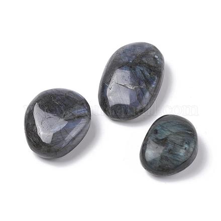 Natural Labradorite Beads G-E523-06A-1