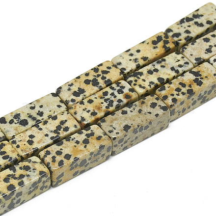 Cuentas de jaspe de piel de leopardo natural hebras G-S300-63-8x20mm-1