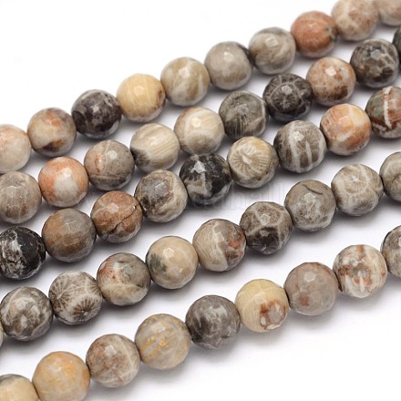 Natural Fossil Coral Round Bead Strands G-O094-08-10mm-1