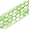 Natural Trochus Shell Beads Strands, Dyed, Rice, Pale Green, 8.5~9x6mm, Hole: 0.8mm, about 43~45pcs/strand, 15.16~15.94''(38.5~40.5cm).