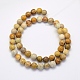 Natural Fossil Coral Beads Strands X-G-G697-F01-8mm-2