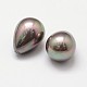 Rainbow Plated Shell Pearl Beads BSHE-L032-05-2