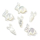 6 pièces 2 styles de perles de coquillage blanc naturel BSHE-CJ0001-05-1