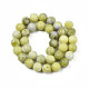Natürlichen gelben Senf Jaspis Perlen Stränge G-Q462-10mm-39-2