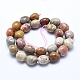 Chapelets de perles en pierre de chrysanthème naturel G-E483-75B-2