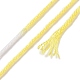 10 Skeins 6-Ply Polyester Embroidery Floss OCOR-K006-A07-3