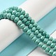 Dyed Natural Howlite Beads Strands G-G023-A01-01C-2