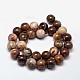 Natural Petrified Wood Round Bead Strands G-F266-08-12mm-2