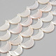 Galvanoplastie des brins de perles de coquille d'eau douce naturelle SHEL-T017-15A-1