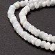 Fili di perle di conchiglia trochid naturale / trochus SSHEL-O001-24B-02-3