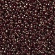 MIYUKI Round Rocailles Beads SEED-JP0008-RR0309-3
