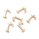 304 Stainless Steel Charms STAS-K215-22G-1