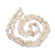 Brins blancs naturels de perles de puces pierre de lune G-M205-68-2