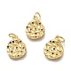 Brass Micro Pave Colorful Cubic Zirconia Charms ZIRC-H100-01G-1
