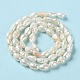 Natural Keshi Pearl Beads Strands PEAR-E018-66-3