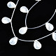 Eau douce naturelle de coquillage perles brins SHEL-N026-153B-01-3