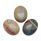 Jaspe policromado natural/piedra picasso/cabujones de jaspe picasso G-P393-I08-1