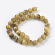Natürliche Gold Tigerauge Perlen Stränge G-C076-6mm-1AA-2