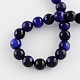 Dyed Natural Multi-Color Agate Beads Strands G-R177-10mm-02-2