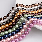 Polished Round Grade A Shell Pearl Bead Strands, Mixed Color, 8mm, Hole: 1mm, about 49pcs/strand, 16 inch