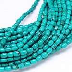 Brins de perles ovales en magnésite naturelle, teints et chauffée, turquoise, 6x4mm, Trou: 1mm, Environ 69 pcs/chapelet, 15.55 pouce