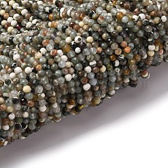 Натурального дерева агат бисер нитей&nbsp;LS-G-RM2025-A40-3mm