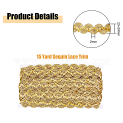 Ruban de dentelle en polyester scintillant de 15 mètre&nbsp;OCOR-WH0091-09B