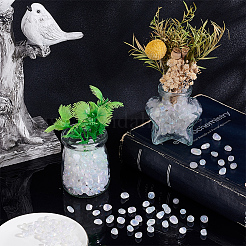 Perles en verre&nbsp;GLAA-PH0004-72B