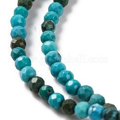 Fili di perline di howlite naturale&nbsp;G-C025-02A-04