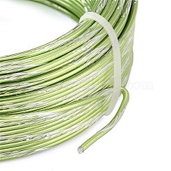 Fil d'aluminium bicolore&nbsp;AW-CBA2D89-01I