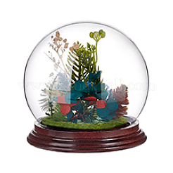 Стеклянный купол&nbsp;ODIS-WH0078-40