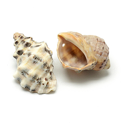 Pendentifs coquille de conque&nbsp;LS-SSHEL-Q299-006