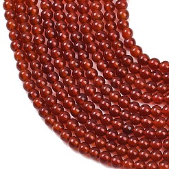 Природные пряди сердолик бисера&nbsp;G-K146-03-2mm