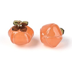 Непрозрачные акриловые подвески&nbsp;OACR-N155-06