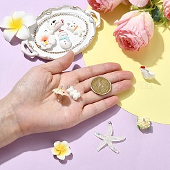 10шт 10 стиля непрозрачные подвески из смолы&nbsp;RESI-YW0005-35