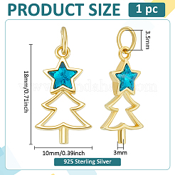 1 шт. 925 подвески из стерлингового серебра с темно-бирюзовым стеклом&nbsp;STER-BC0003-79G