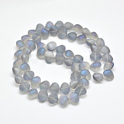 Galvanoplastie dépoli perles de coquillage de fils de verre&nbsp;EGLA-M002-B03